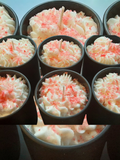 Coconut Cashmere Cream ~ 4oz Custom Blended Candle